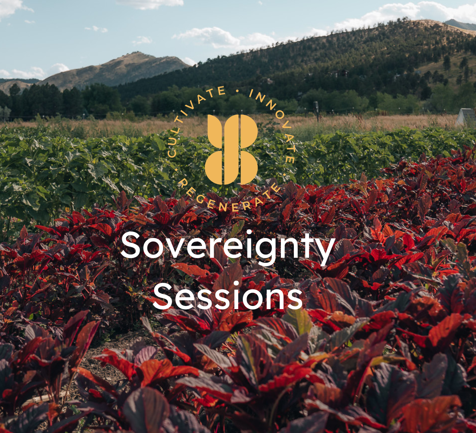 Sovereignty Sessions: Community Resilience