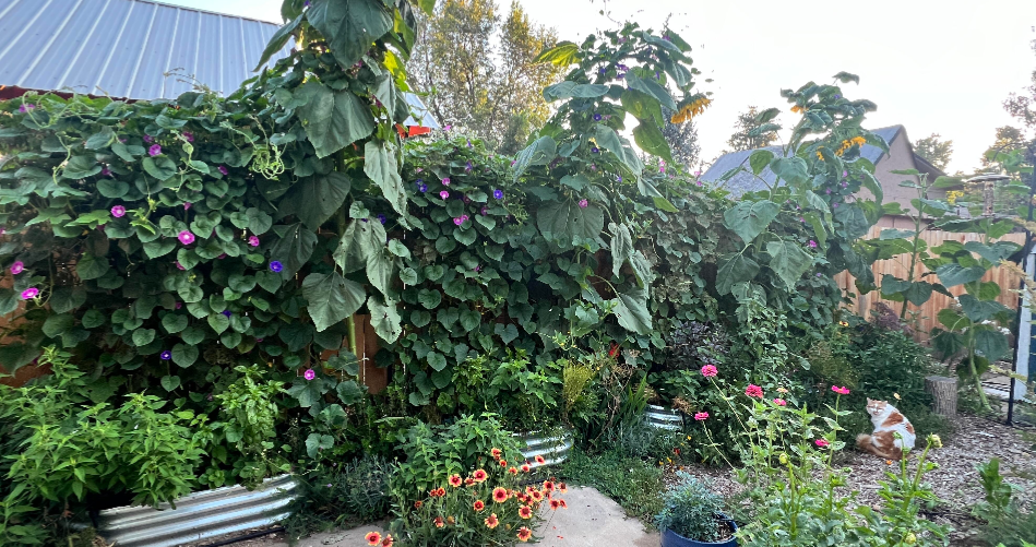 From Lawn to Resilient Life – at Yellow Barn Farm