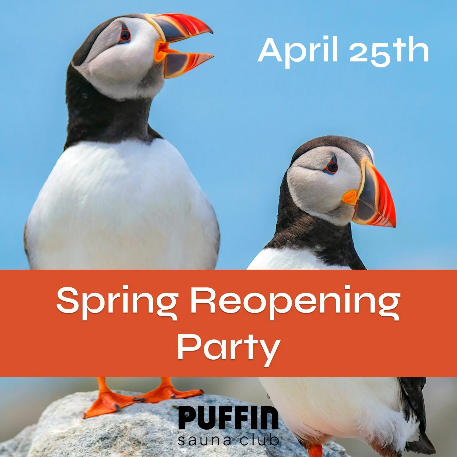 Puffin Sauna Spring Reopening – at The Yellow Barn Farm