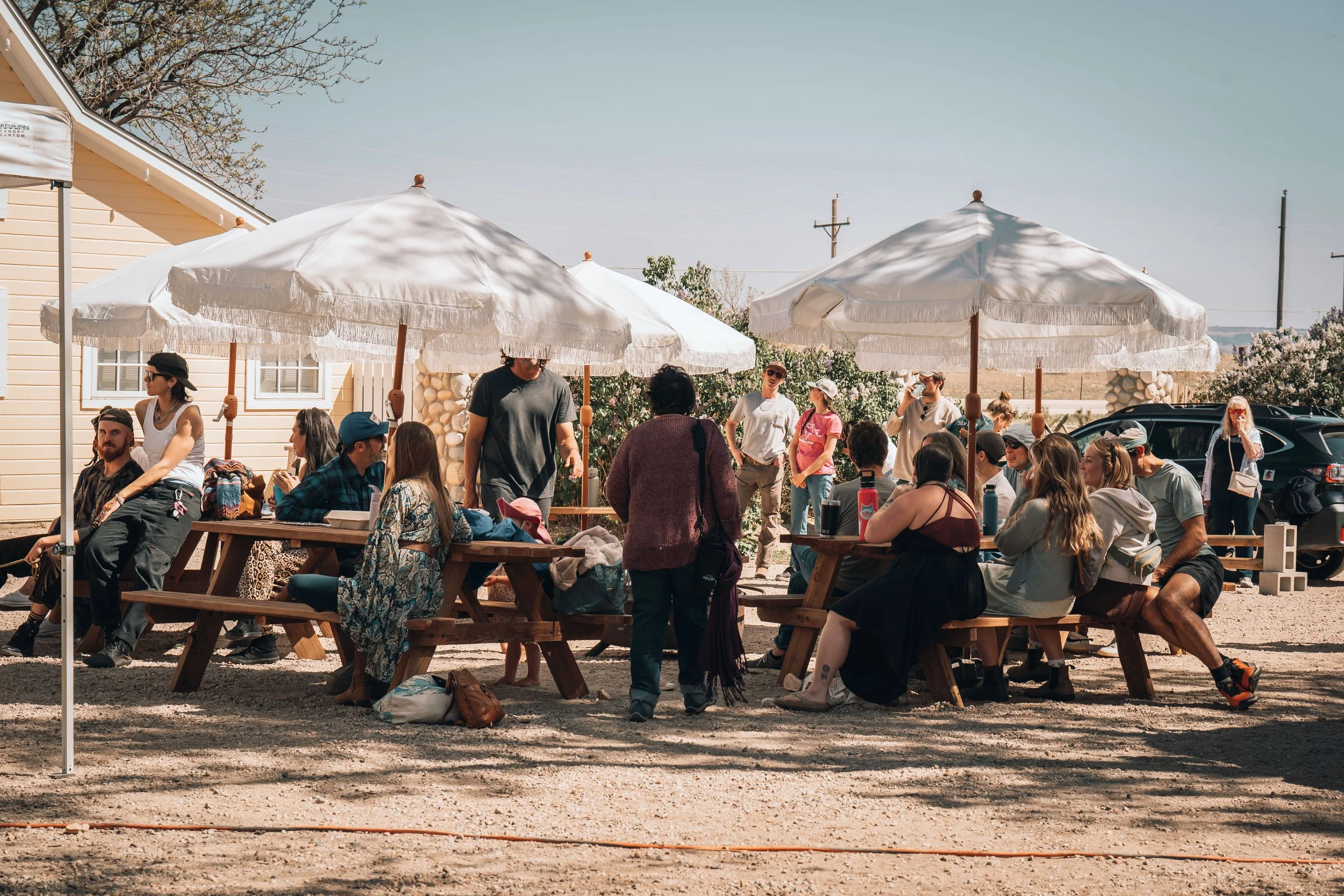 springfest-11.jpg