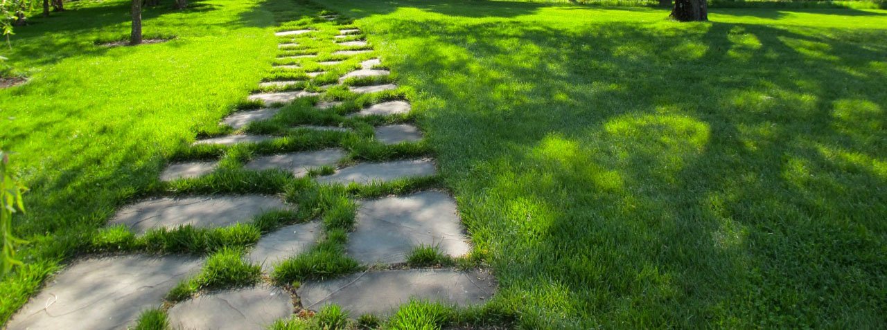 Intro to Organic Lawn Care