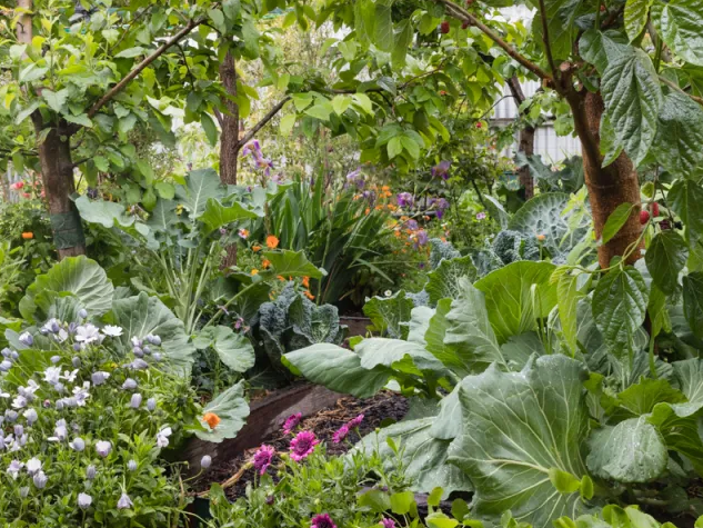 Permaculture I: The Culture