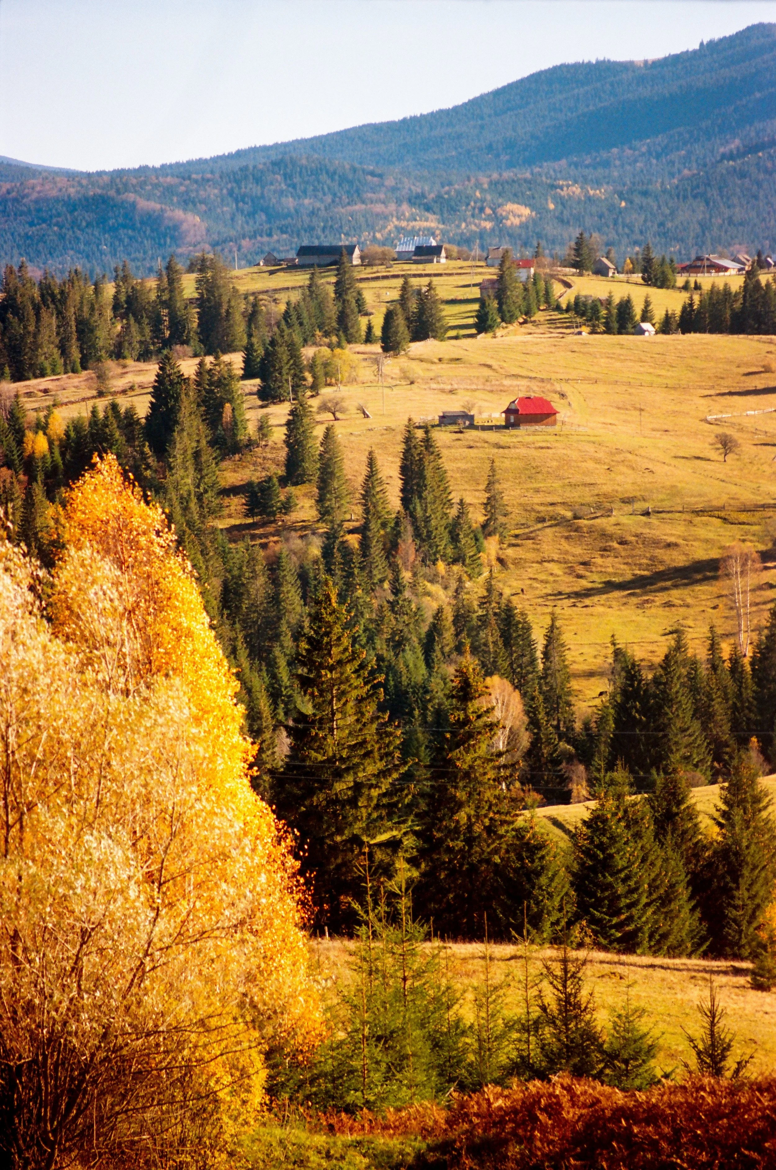 Autumnal Season in the Airbnb Industry