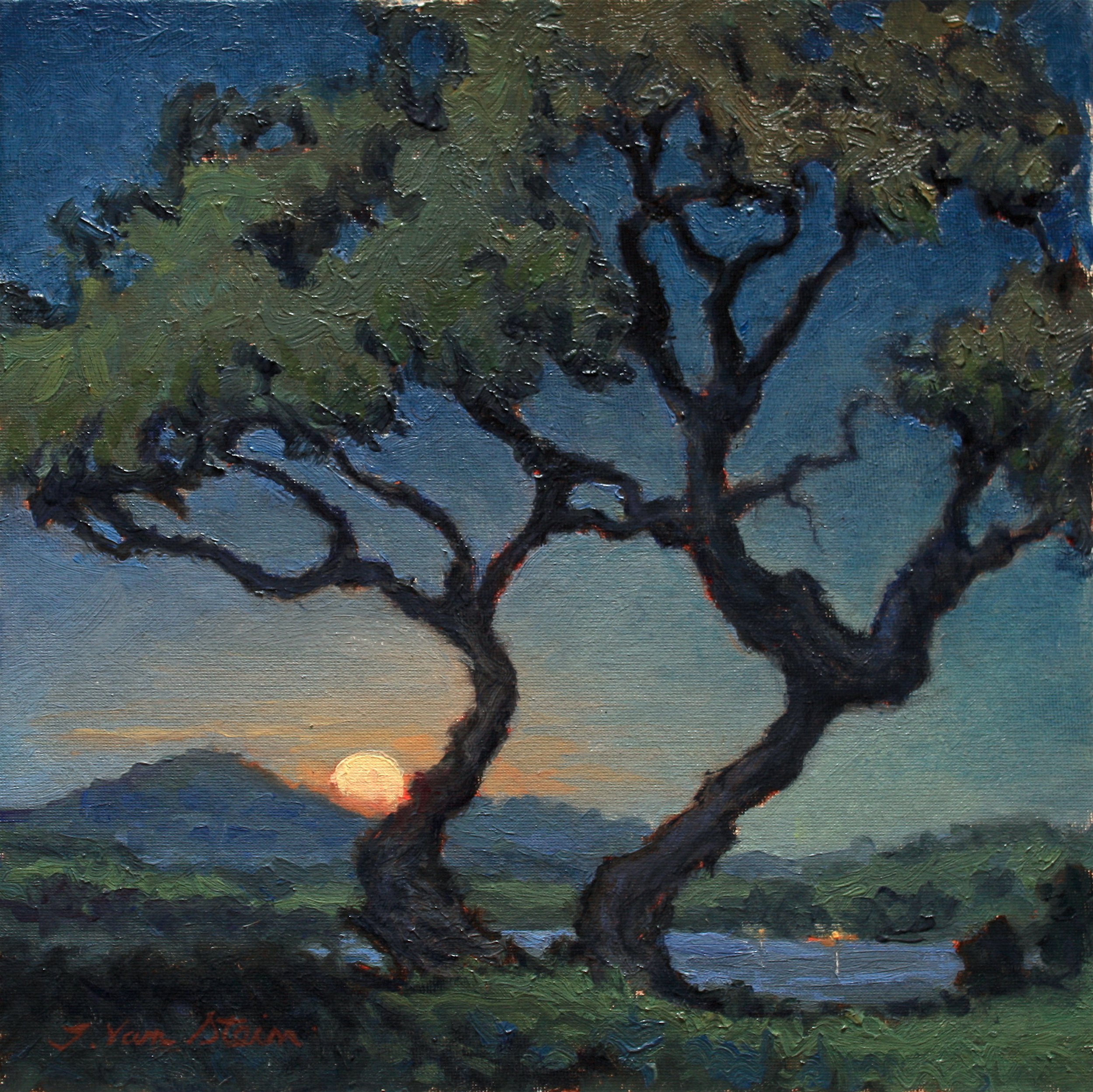 Moonrise through the Oaks, 12 x 12 inches, oil