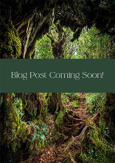 Blog Post Coming Soon