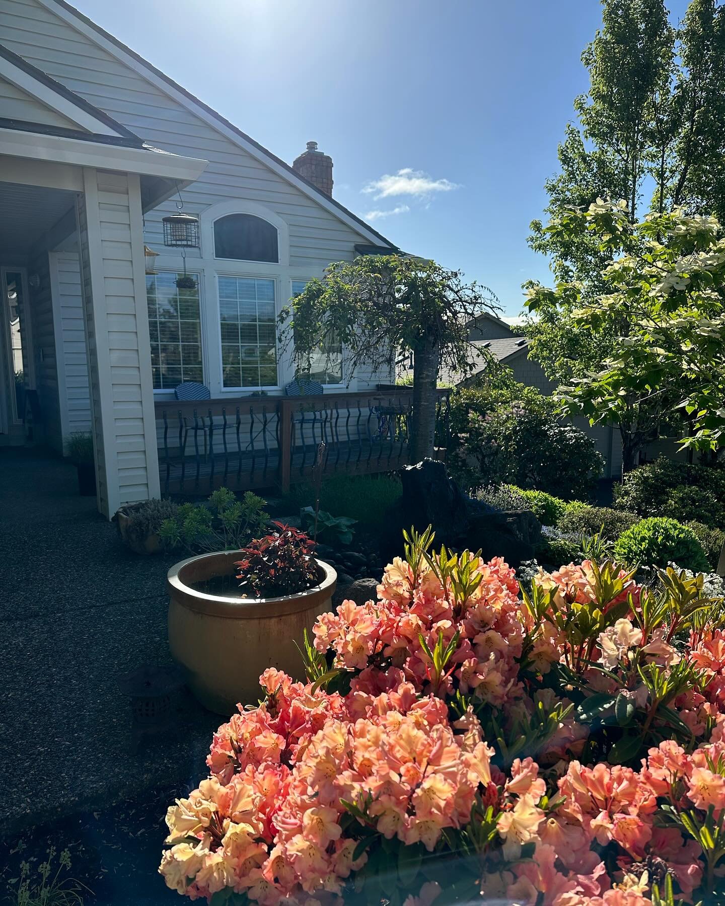 Beautiful morning at the cottage. 
::
::
#springhassprung #cottagelife #pacificnorthwest #lifeisgood #inthegarden