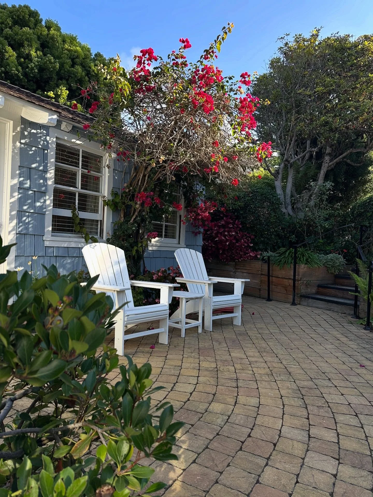 Every year, I watch the light shift and feel something stir within me &mdash; that old rhythm of shedding and remembering.

The leaves turn, and so do I.

#TheSoulfulJourney #SoulfulSeasons #TurningLeaves