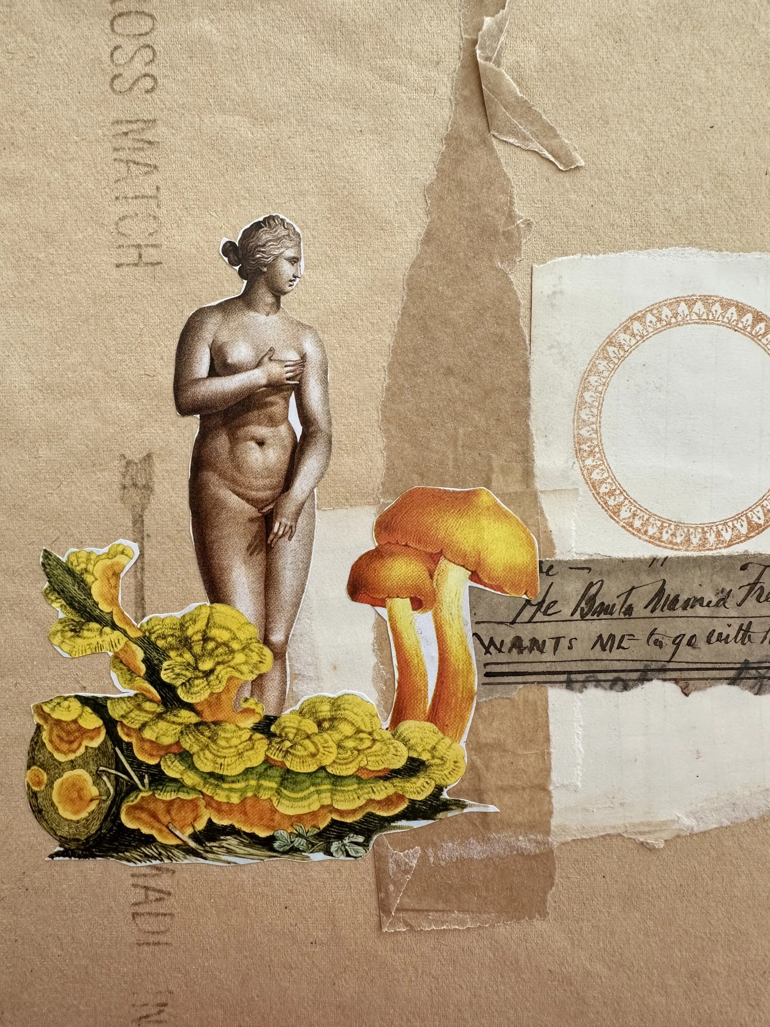 Into the Listening Woods