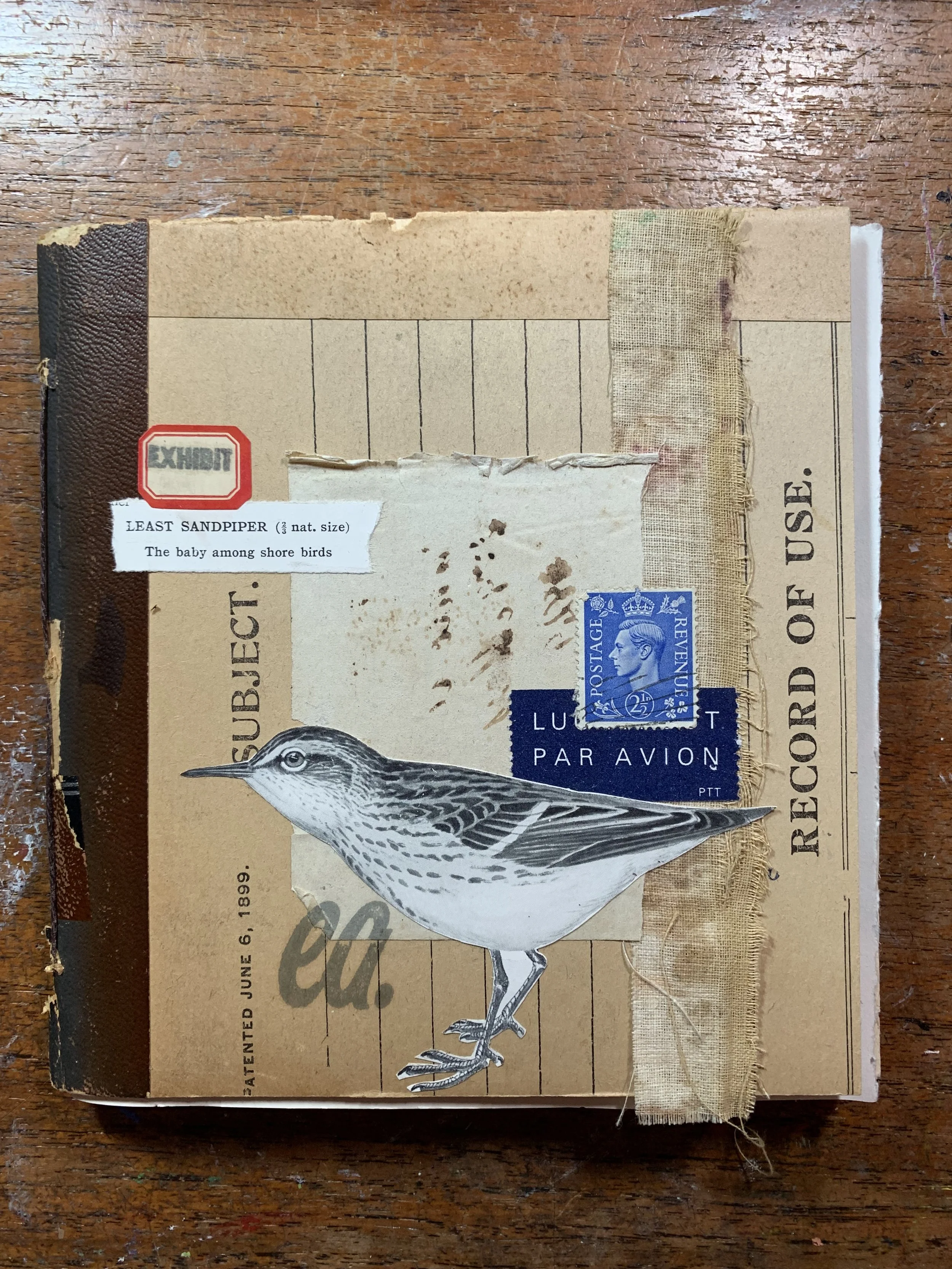 What She Remembers, What She Nearly Forgets