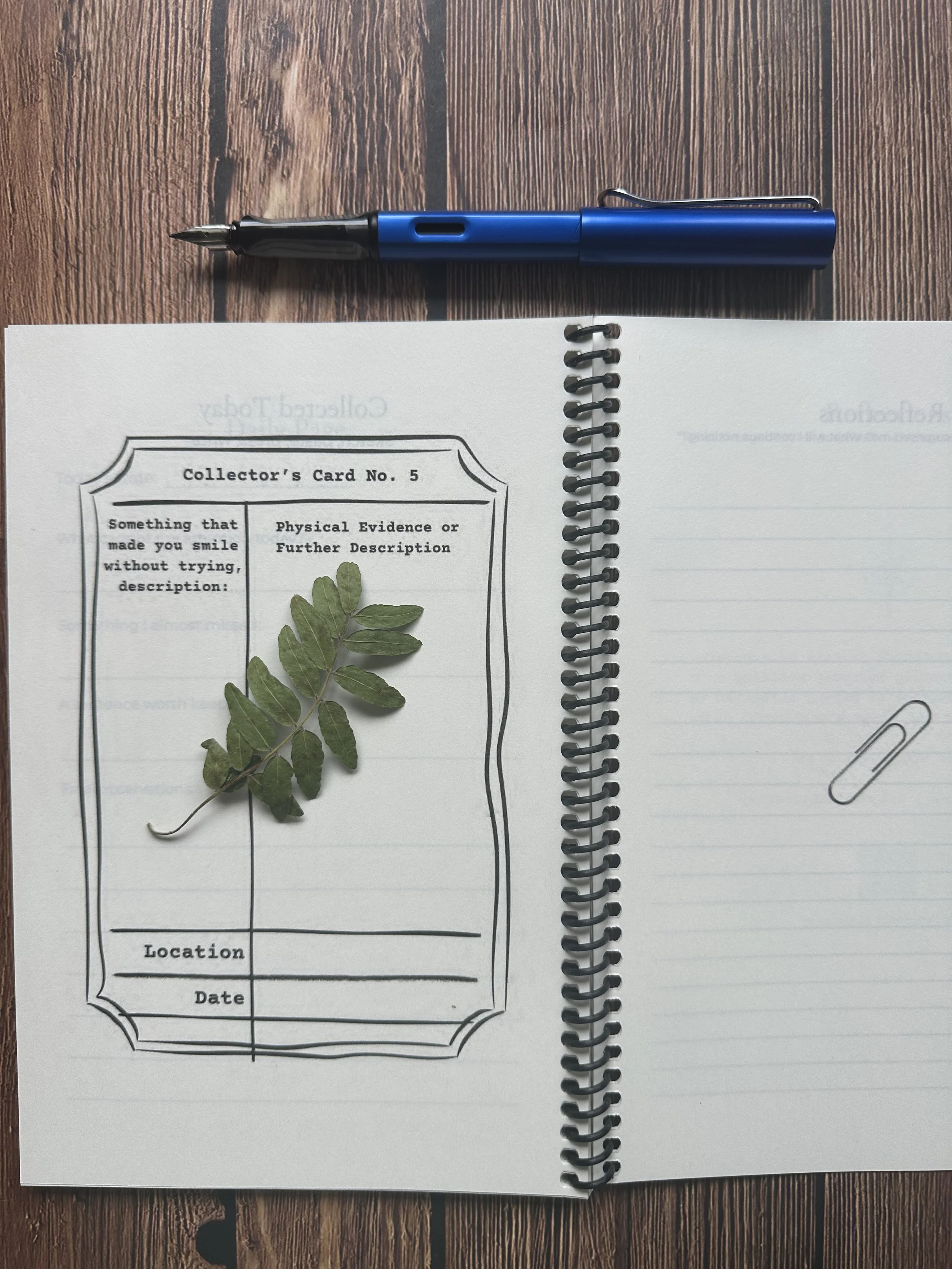 The Beautiful Practice of Keeping Evidence