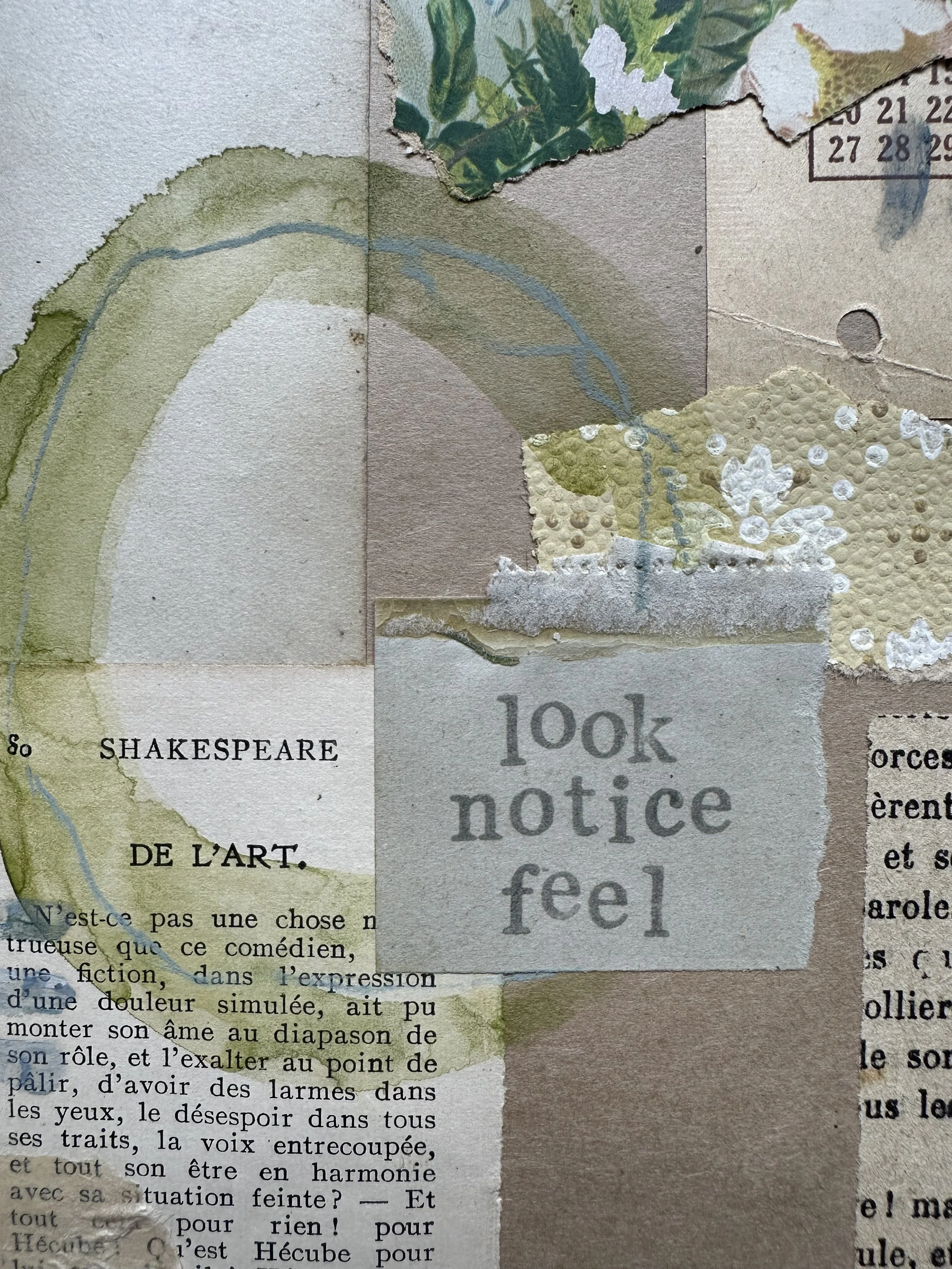 An Autumn of Noticing