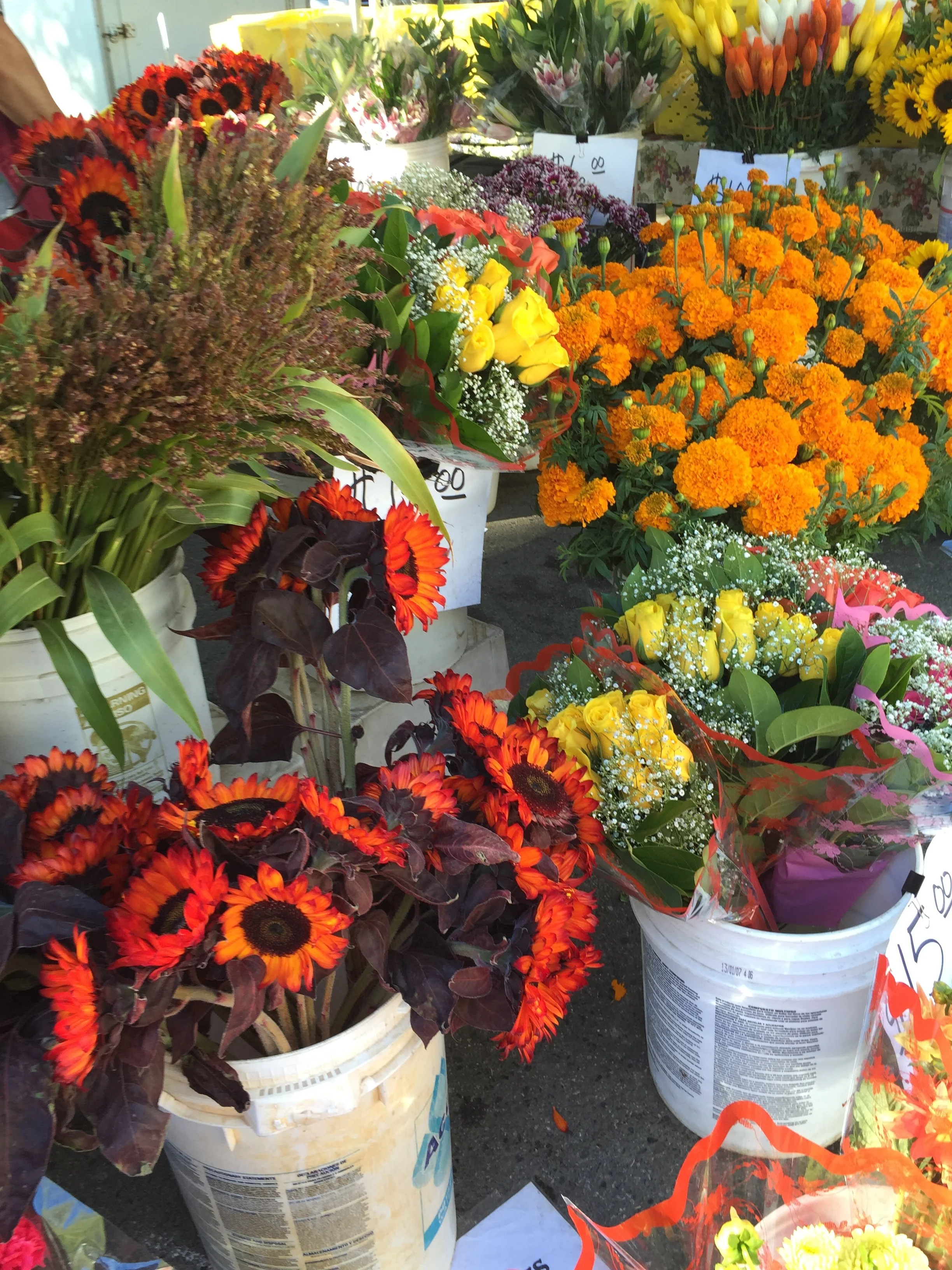 10 Things to Notice as Summer Turns to Fall