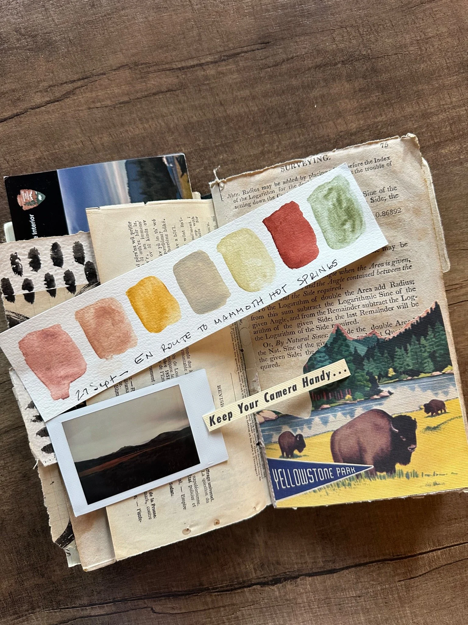 Collecting | Yellowstone