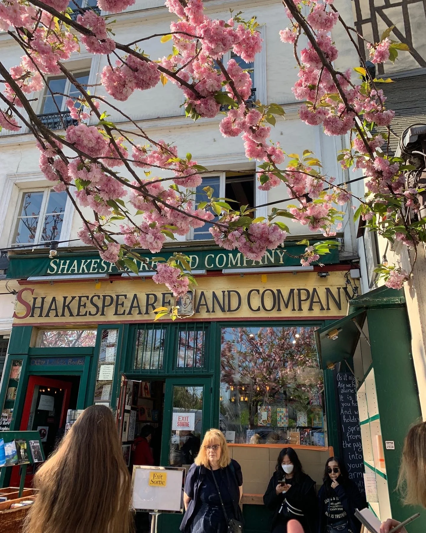 Shakespeare & Company with cherry blossoms blooming, Paris, France.