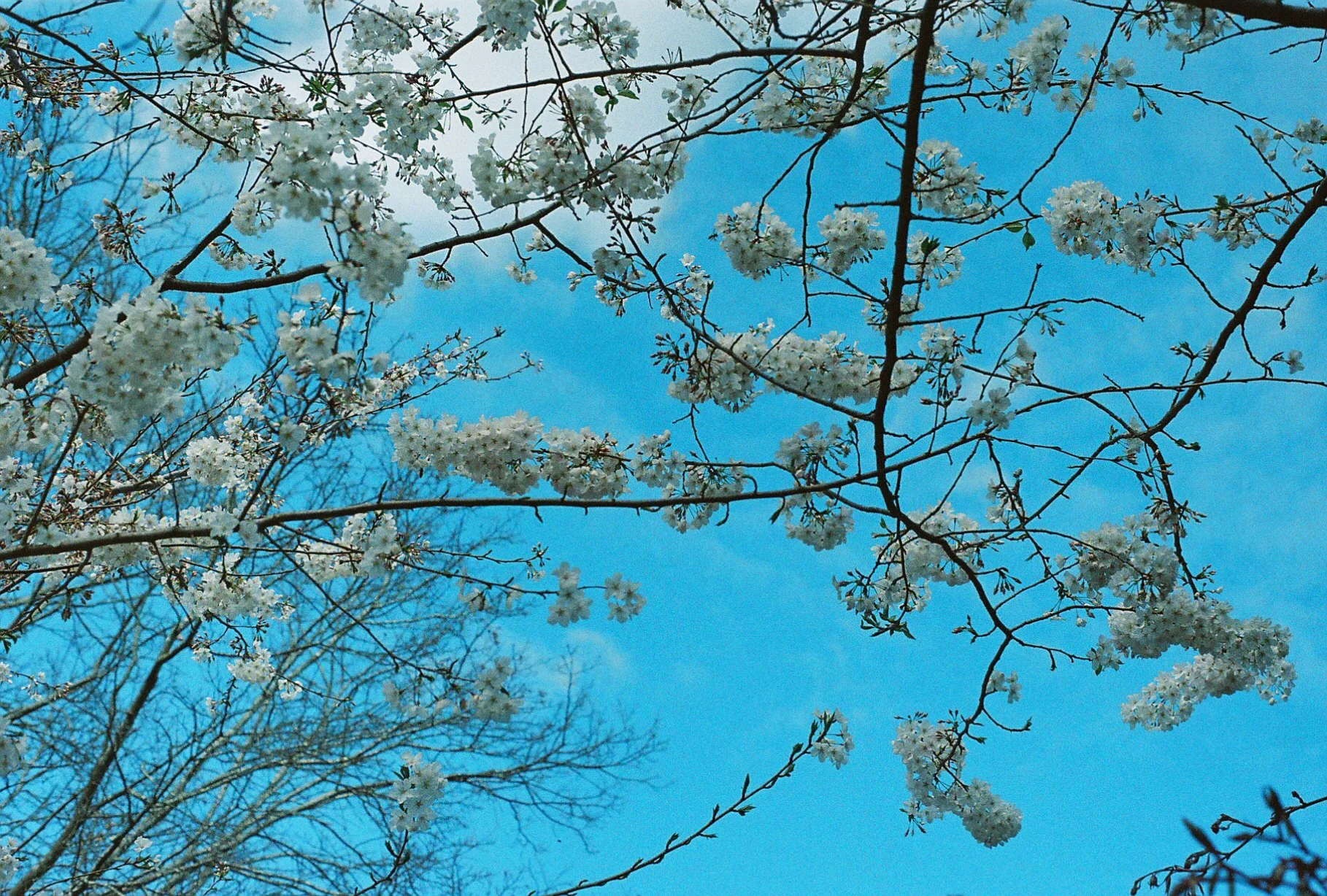 0003933_0003933-R1-009-3.jpg