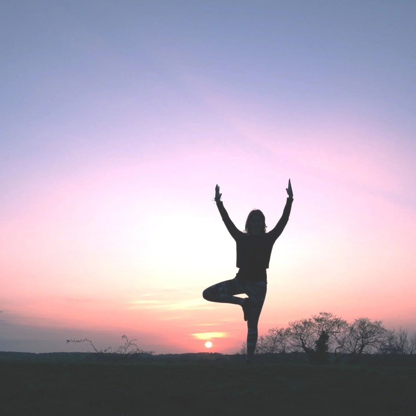 tree pose at sunset