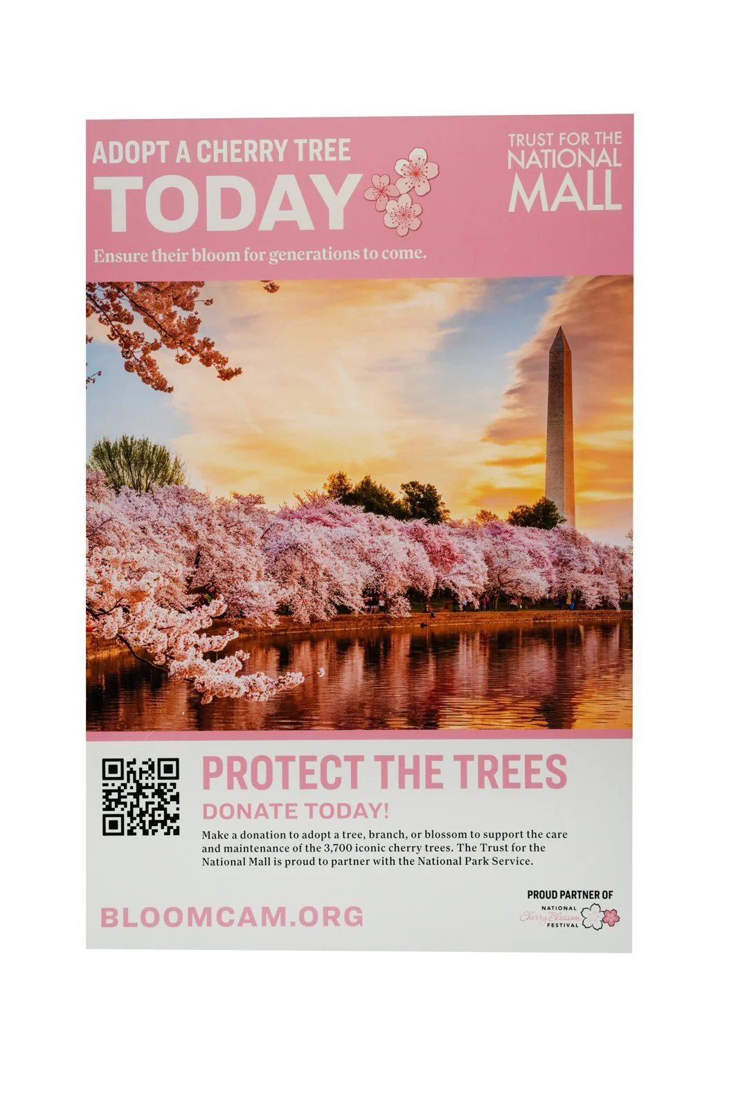 Direct Mail Printing in Alexandria: Response & ROI Guide
