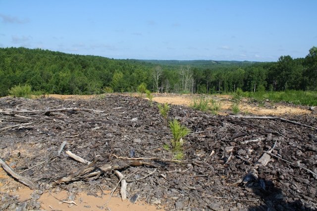 SU121112 Fayette Tract
