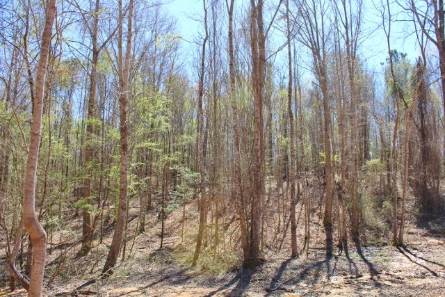 Sherrillwoods Parcel 3