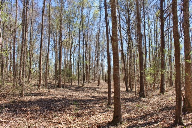 Sherrillwoods Parcel 4