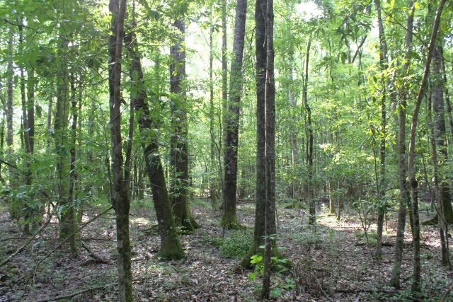 01063Hb0005_15.JPG