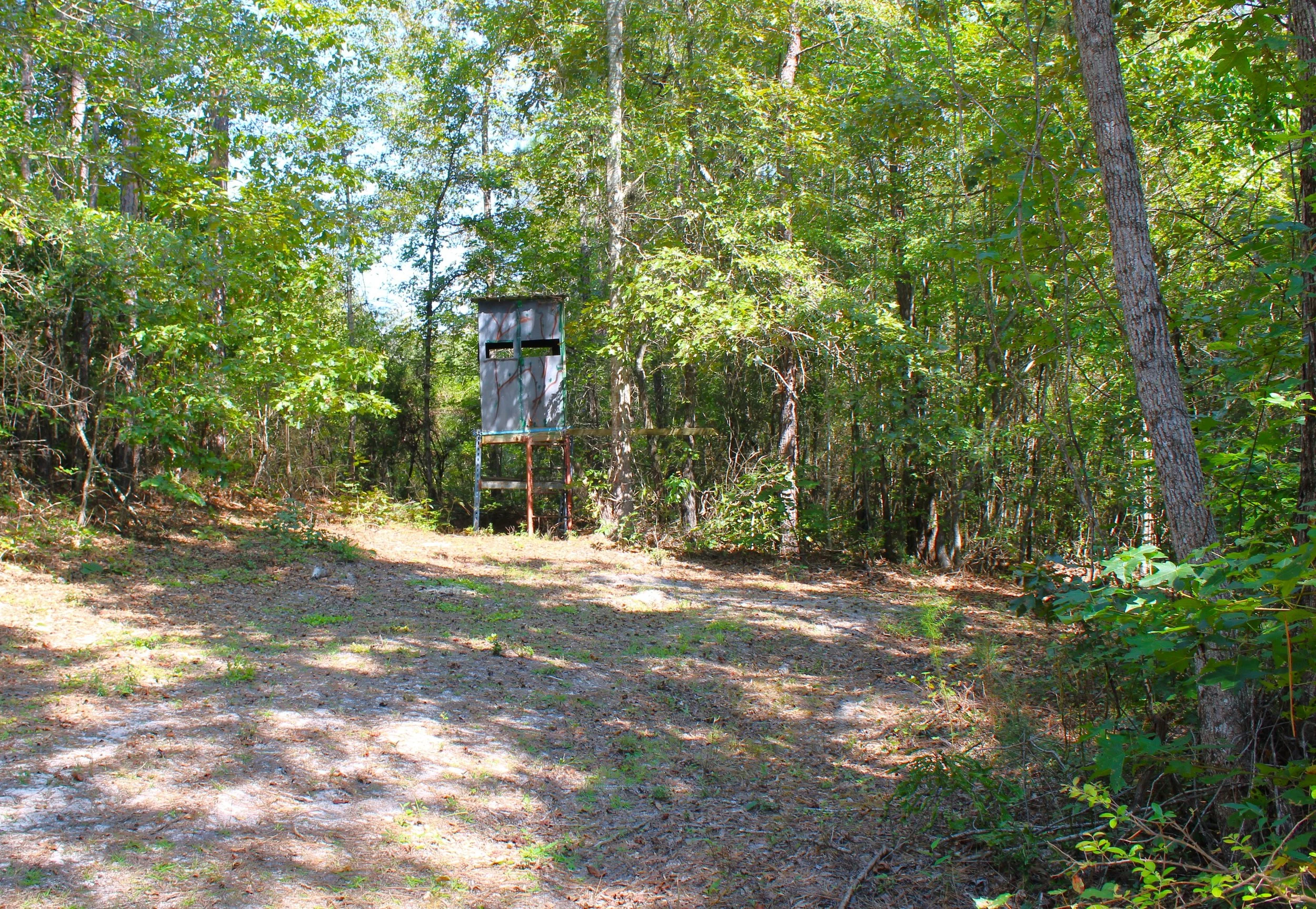 Palmetto 30 +/- Acre Tract