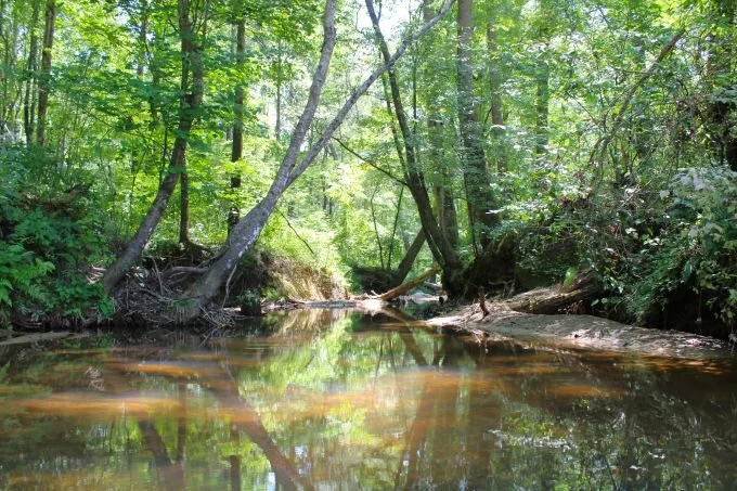 Tishomingo 516.4 +/- Acre Tract