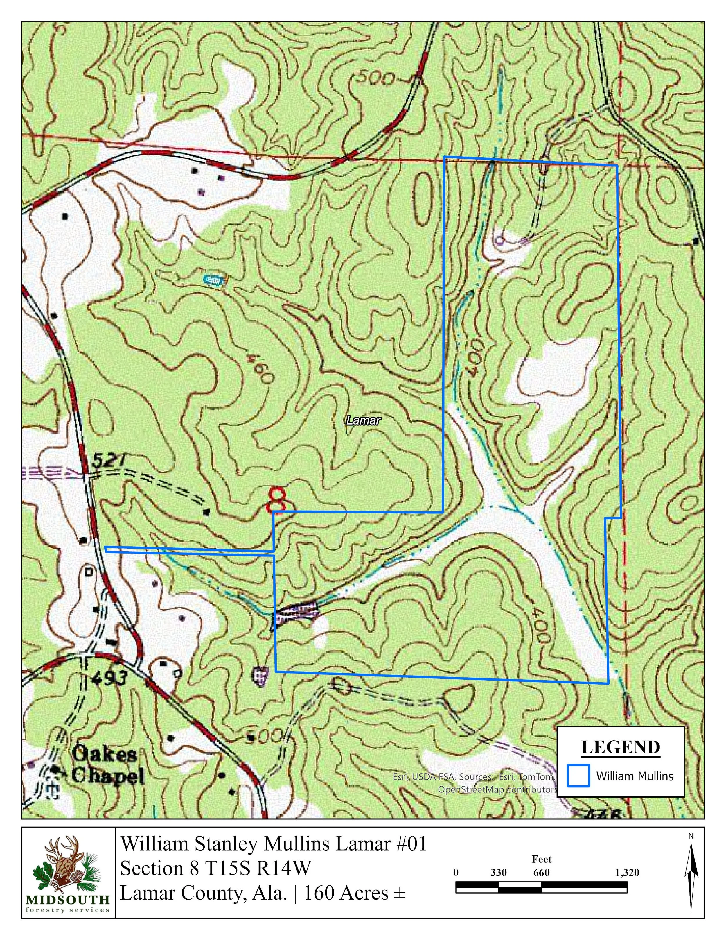 Stanley Mullins Topo Map.jpg