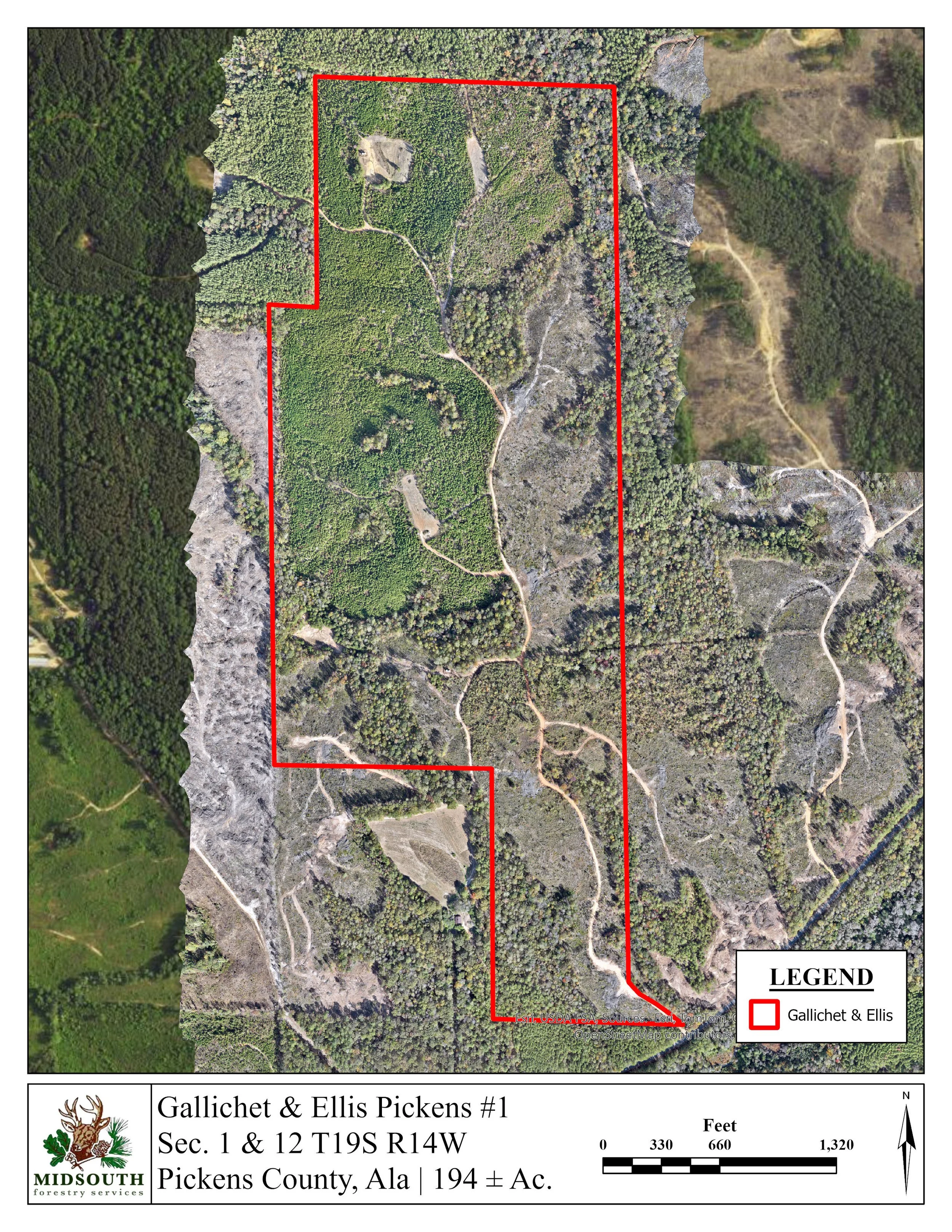 Pickens G&E 194 Ac Aerial.jpg