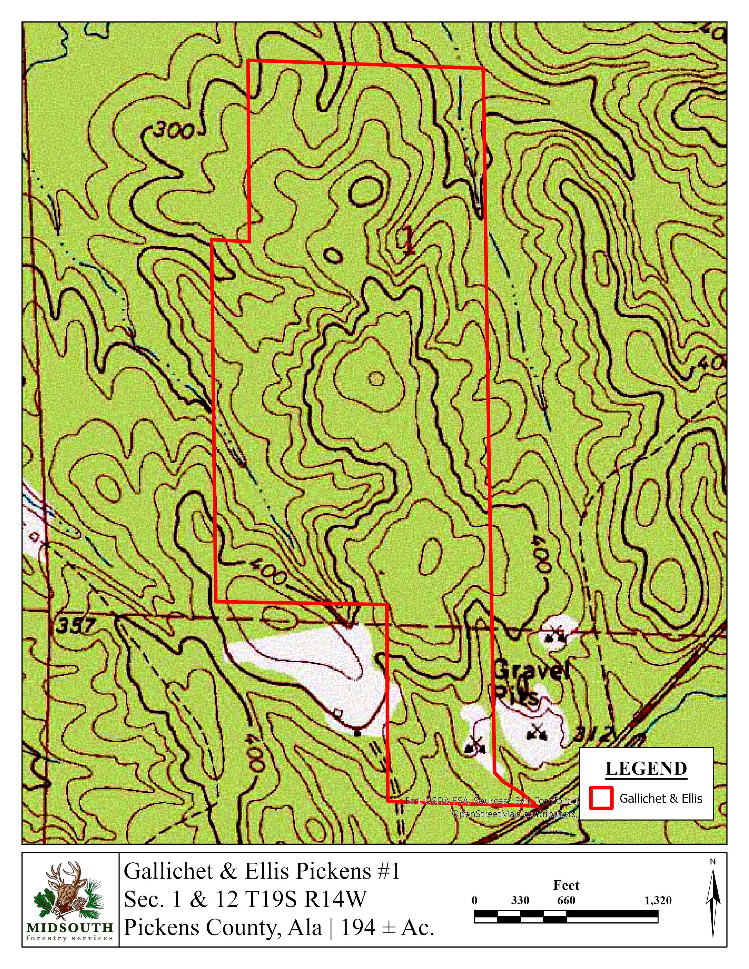 Pickens G&E 194 Ac Topo.jpg