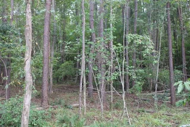 01057Hb0016_07.JPG
