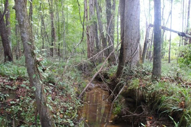 01057Hb0016_10.JPG