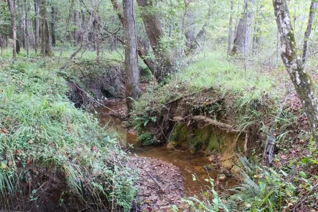 01057Hb0016_11.JPG