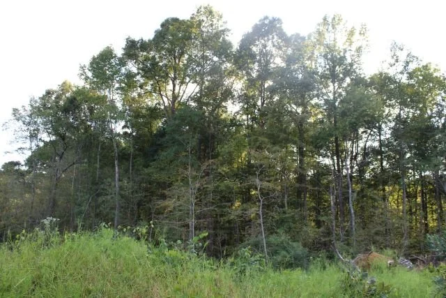 01057Hb0016_18.JPG