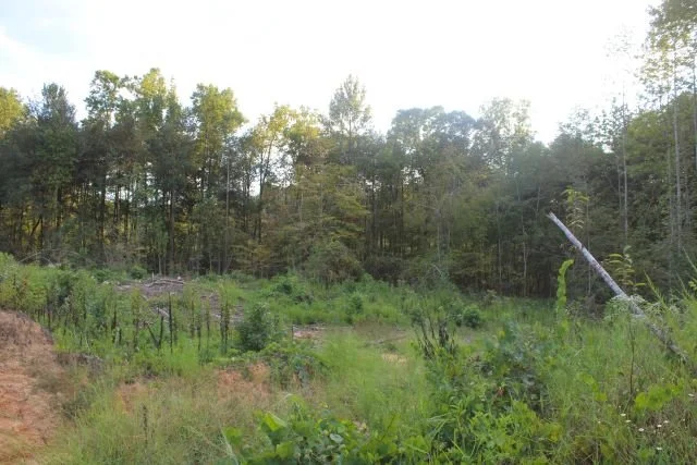 01057Hb0016_17.JPG