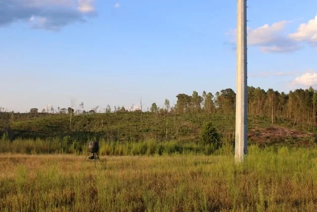 Ceaser Creek Tract