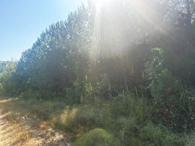 28095Hb1011_04.jpg