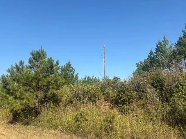 28095Hb1011_06.jpg