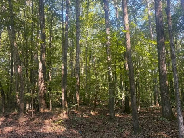 28095Hb1011_12.jpg