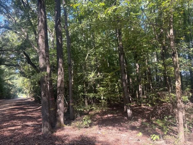 28095Hb1011_16.jpg