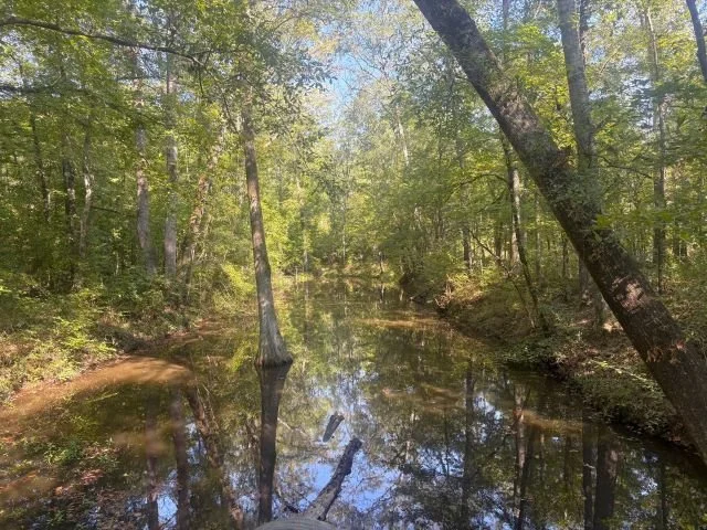Lost Corner 80 Tract