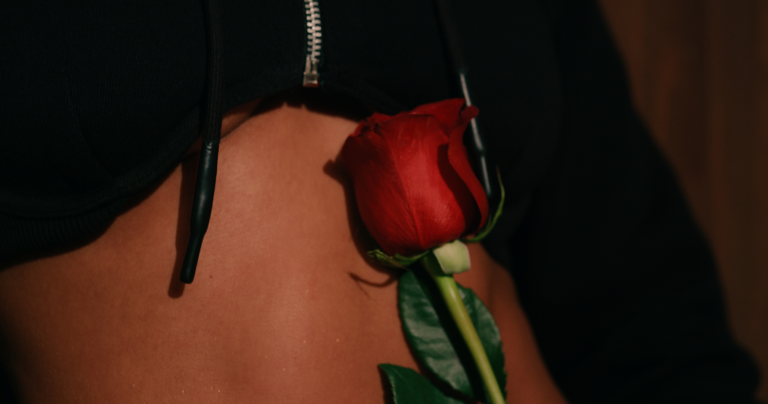 default_1.13.1 copy.png