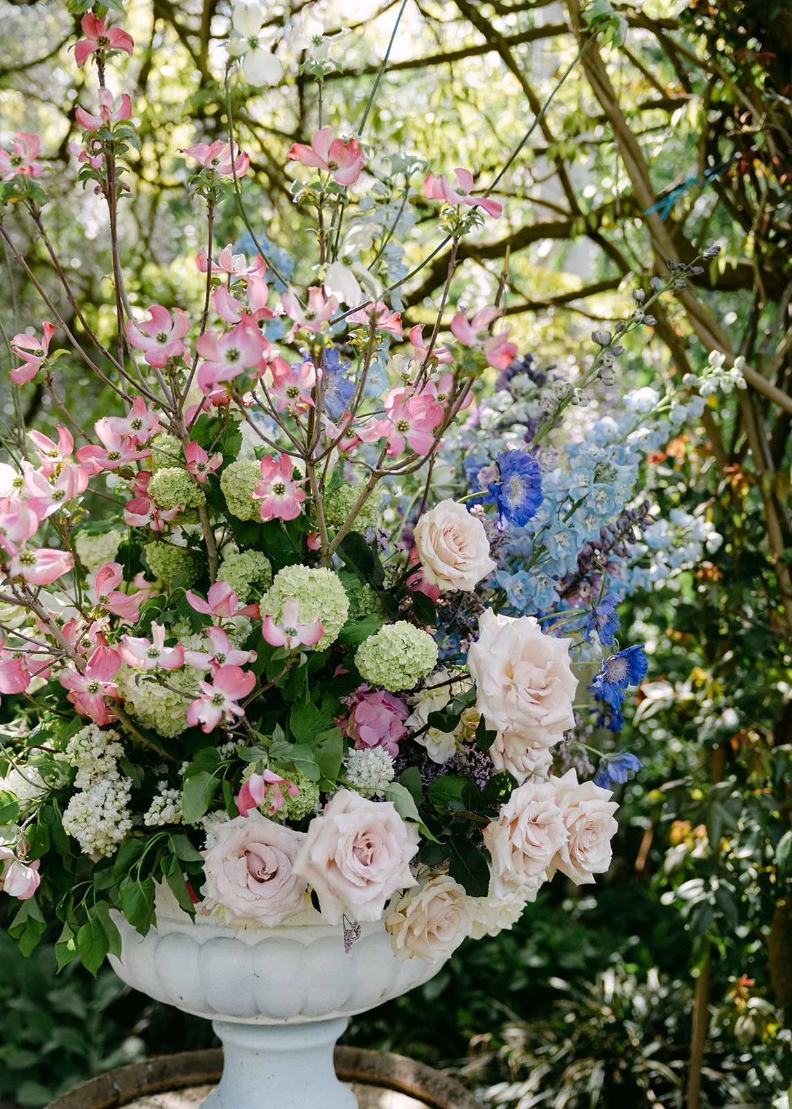 A73007572022Full Size Images.jpg