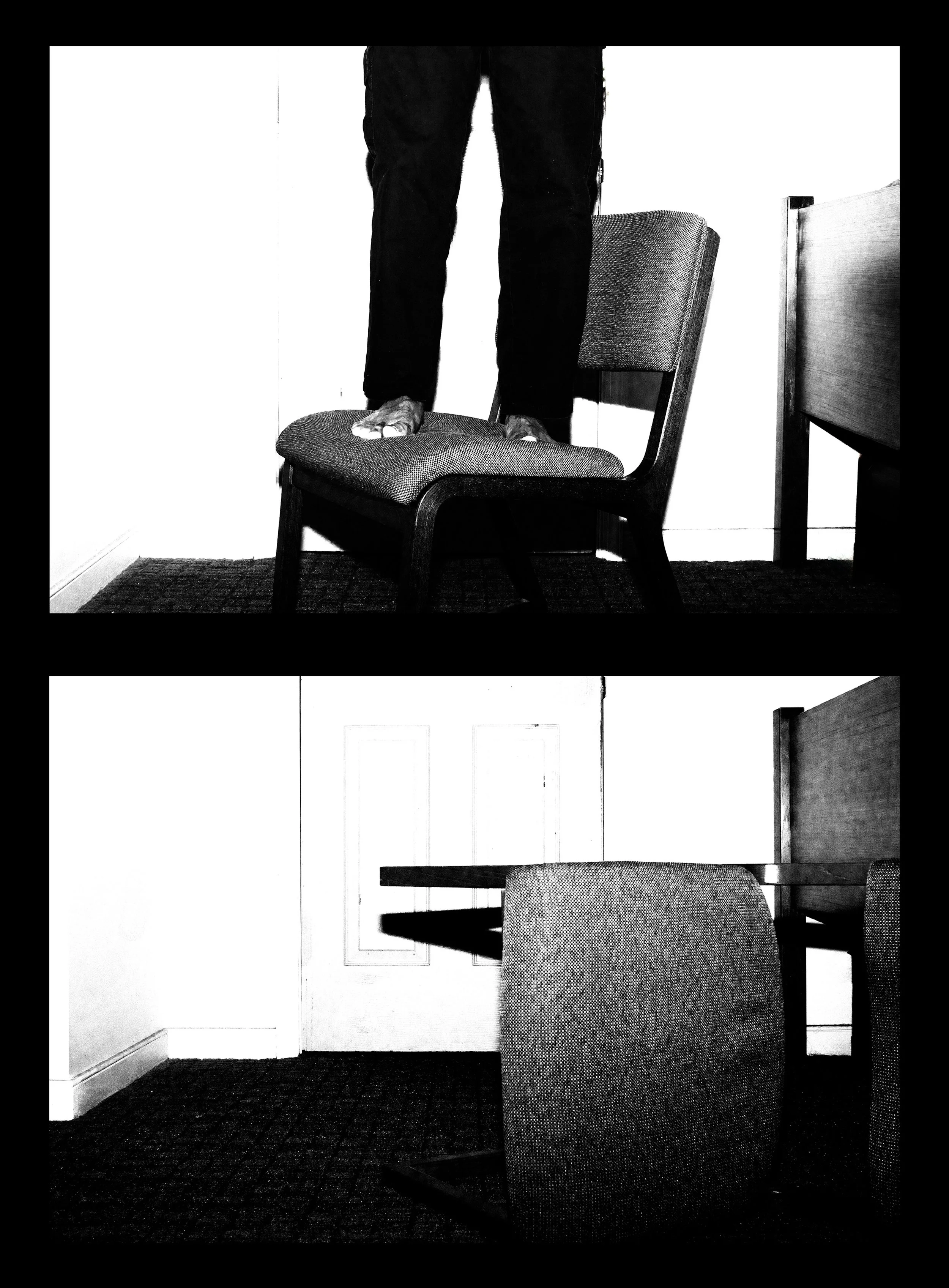 Hussain_Final Diptych.jpg