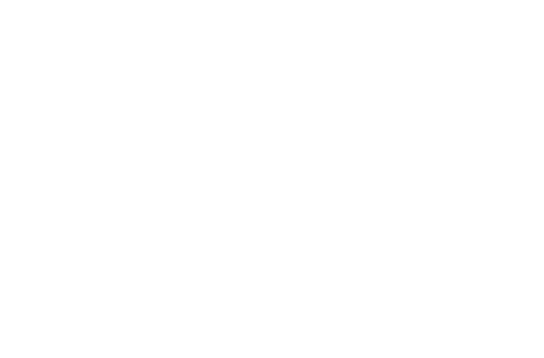 Precision Coatings Logo