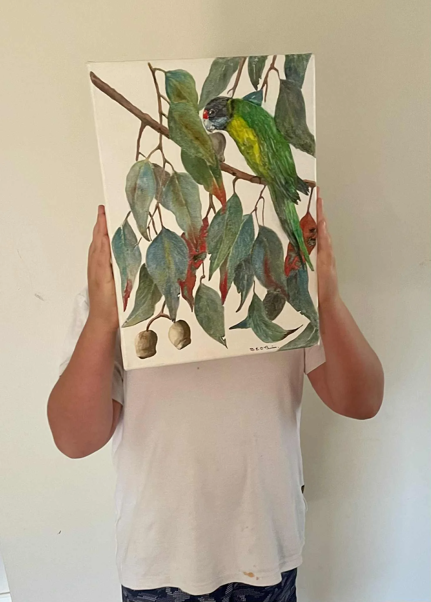 28 Parrot- B O'Brien