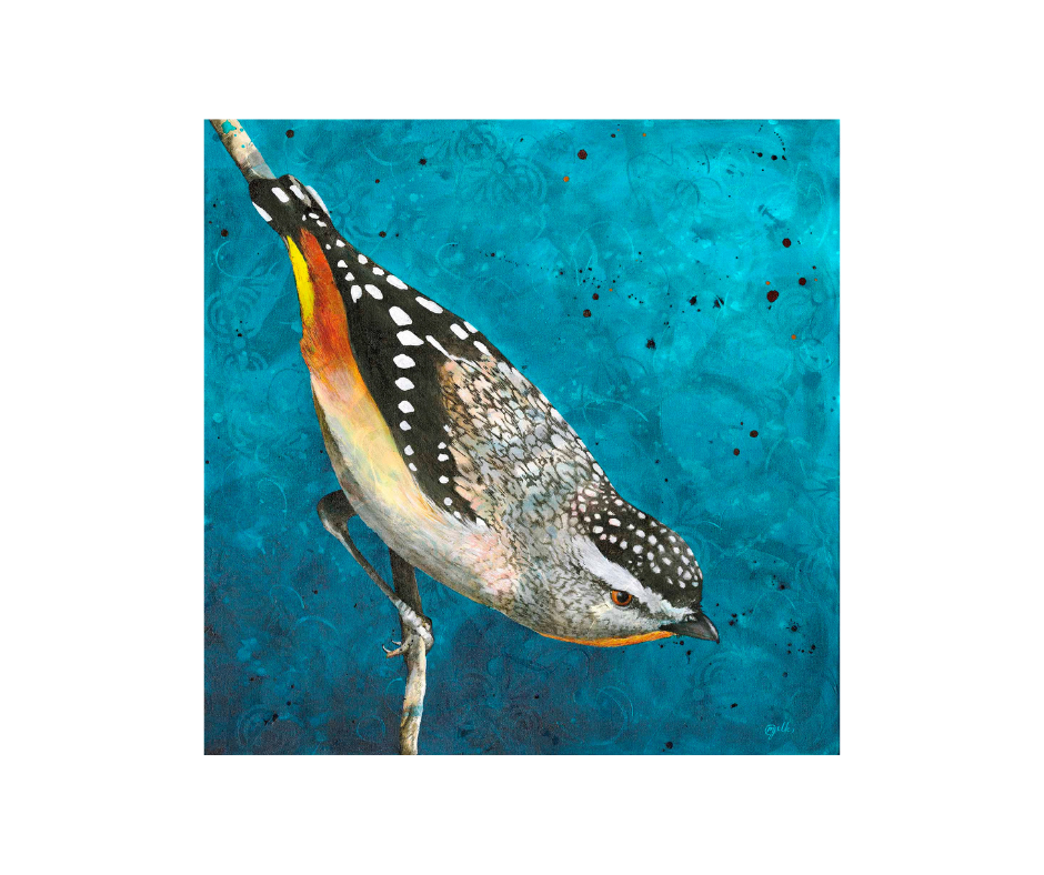 Spotted Pardalot WA artist Michelle Gilks- Up the Hill Gallery #1.png