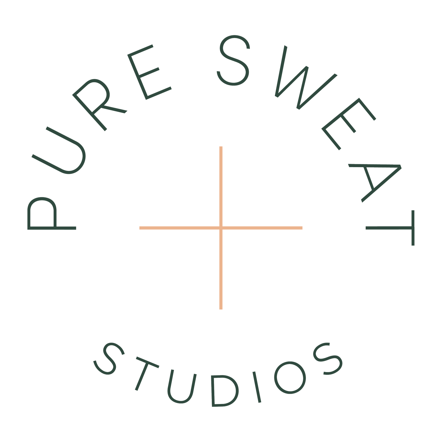 PSS_Primary_COLOR (1).webp