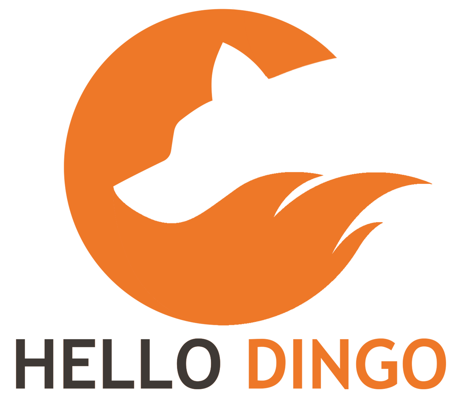 Hello Dingo