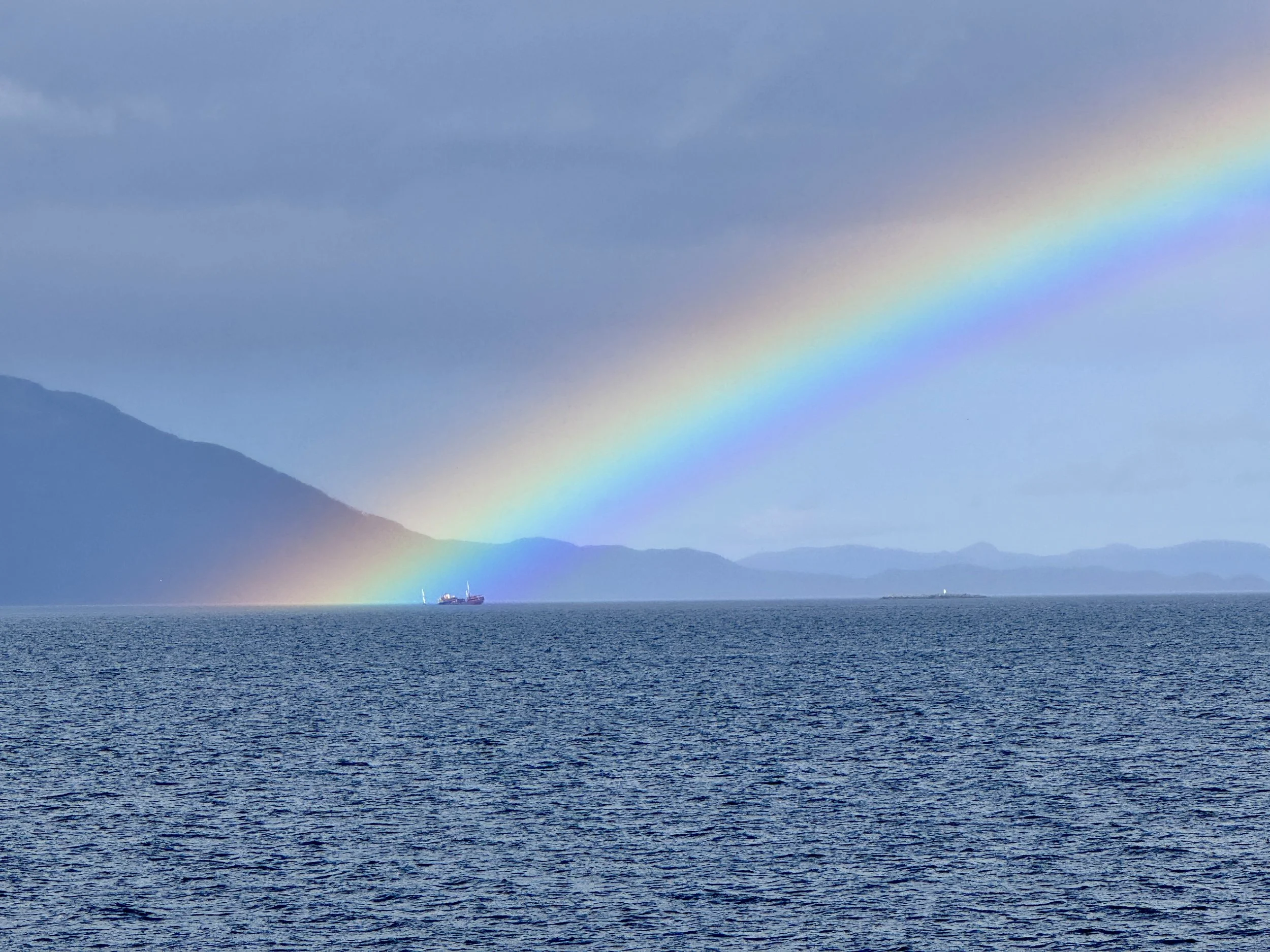 Purpose Isn’t Found. It’s Practiced.